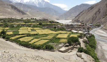 [CPI Cultural Trend] Series #3 Nepal