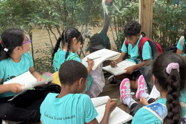 통신원대표이미지