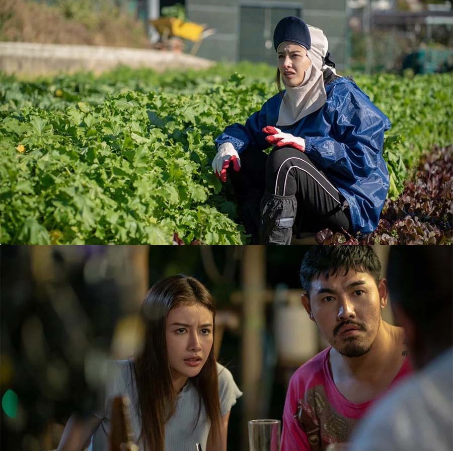 통신원대표이미지